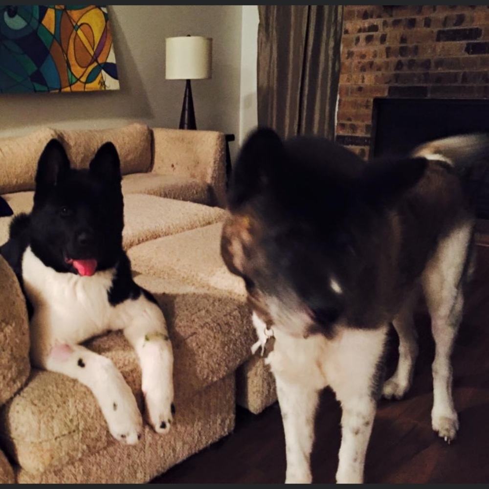 Tracking for Tracy. 💕